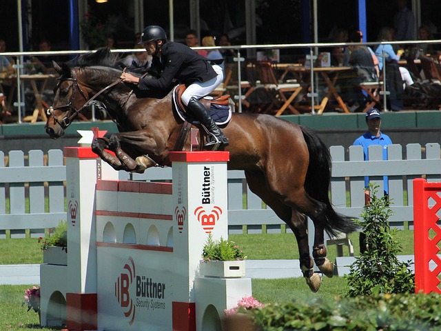 她俨然成为 她俨然成为