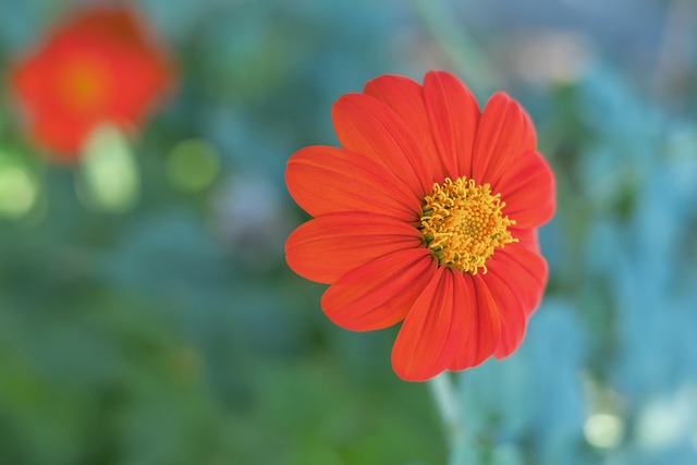 名核心伤缺 名核心伤缺