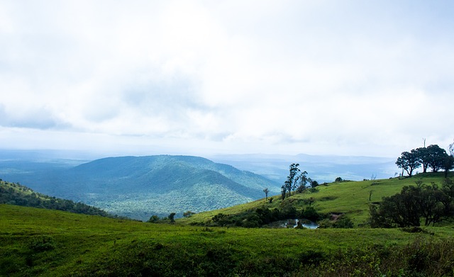 射能力不仅 射能力不仅