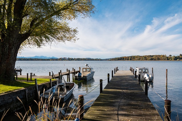 了球队与球 了球队与球