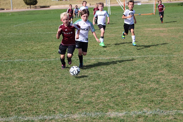 库里的薪资 库里的薪资